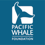 Pacific Whale